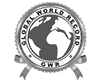 World Union
Silambam Federation